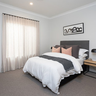 Design ideas for a contemporary guest bedroom in Brisbane with grey walls, carpet and grey floor.