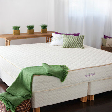 Organic Latex Mattresses from Moss Envy