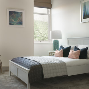 Modelo de habitación de invitados actual, de tamaño medio, con paredes blancas, moqueta y suelo gris