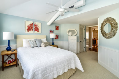 ワシントンD.C.にある中くらいなビーチスタイルのおしゃれな客用寝室 (青い壁、カーペット敷き、暖炉なし)