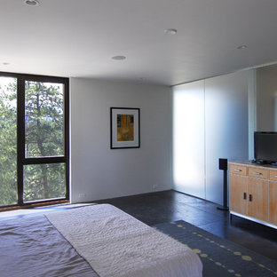 Diseño de dormitorio principal, minimalista, grande, sin chimenea, con paredes blancas, suelo de pizarra y suelo gris