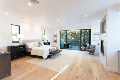 Inspiration for a large transitional light wood floor bedroom remodel in Orange County with white walls, a standard fireplace and a stone fireplace