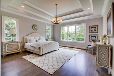 Example of a large transitional master dark wood floor bedroom design in Nashville with gray walls and no fireplace