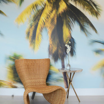 Palm Glimpse