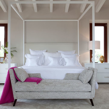 Palma Project