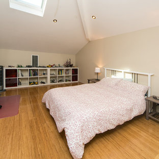 Modelo de dormitorio tipo loft, moderno, de tamaño medio, con suelo de bambú