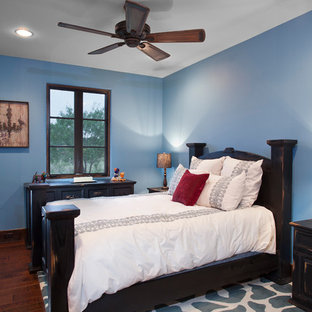 Immagine di una camera da letto stile americano con pareti blu e parquet scuro
