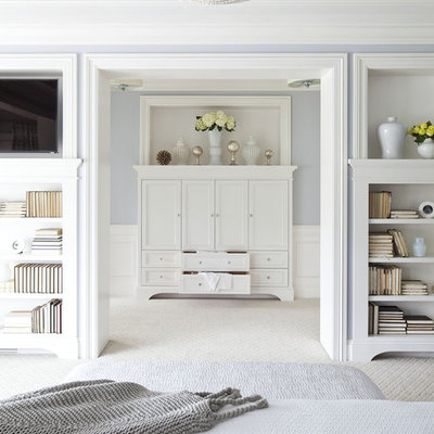 Bedroom - huge transitional master carpeted bedroom idea in Minneapolis with blue walls and no fireplace