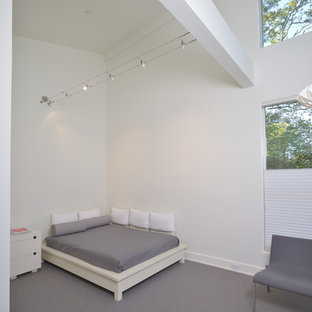 Modelo de dormitorio moderno con paredes blancas y moqueta