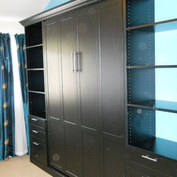 Queen Wall Bed in Black Shaker Doors