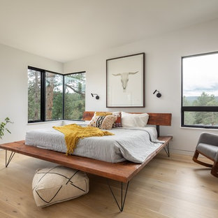 Esempio di una camera da letto moderna con pareti bianche, parquet chiaro e nessun camino