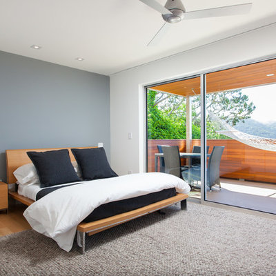 Bedroom - modern light wood floor bedroom idea in San Francisco with gray walls and no fireplace