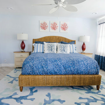 Sailfish