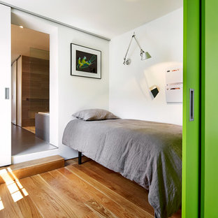 Imagen de dormitorio tipo loft, contemporáneo, pequeño, con paredes blancas y suelo de madera en tonos medios