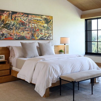 Inspiration for a contemporary master bedroom remodel in Los Angeles with white walls