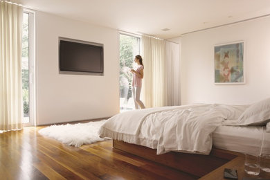 Ejemplo de dormitorio principal actual grande sin chimenea con paredes blancas y suelo de madera en tonos medios
