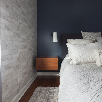 Inspiration for a large contemporary master medium tone wood floor bedroom remodel in Chicago with blue walls