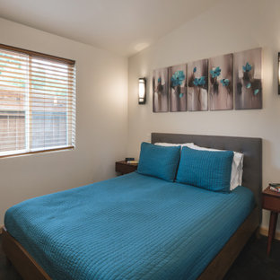 Foto de dormitorio minimalista con suelo de cemento y suelo multicolor