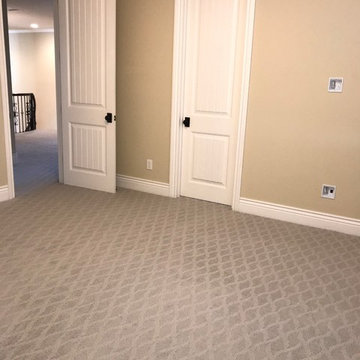 Shaw Infinity Style Carpet