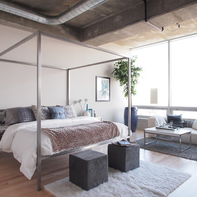 Inspiration for a large contemporary master light wood floor and beige floor bedroom remodel in Baltimore with gray walls