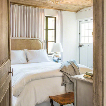 Silverleaf 3