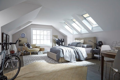 Skylights in Contemporary Bedroom