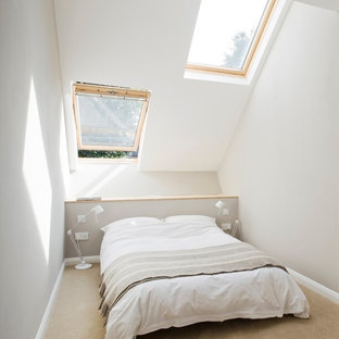 Esempio di una piccola camera da letto minimal con pareti bianche e moquette