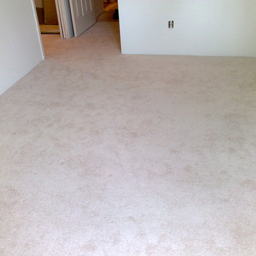 Some of Our Carpeting Work
