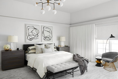シカゴにある巨大なコンテンポラリースタイルのおしゃれな主寝室 (白い壁、カーペット敷き、グレーの床、照明) のレイアウト