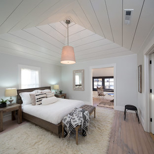 Mittelgroßes Eklektisches Hauptschlafzimmer ohne Kamin mit grauer Wandfarbe, hellem Holzboden und weißem Boden in San Francisco