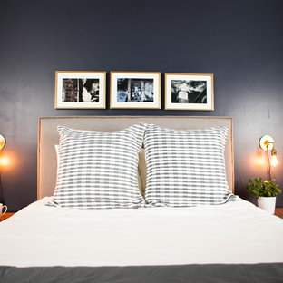 Foto de habitación de invitados actual, de tamaño medio, con paredes azules, moqueta y suelo beige