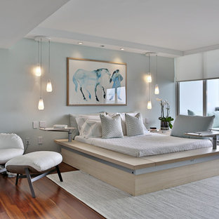 Foto de dormitorio principal, contemporáneo, de tamaño medio, sin chimenea, con suelo de madera en tonos medios, paredes azules y suelo naranja