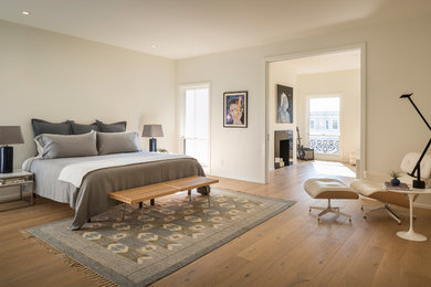 サンフランシスコにある北欧スタイルのおしゃれな寝室のインテリア