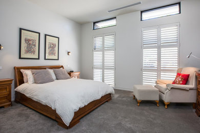 アデレードにある広いモダンスタイルのおしゃれな主寝室 (白い壁、カーペット敷き) のインテリア