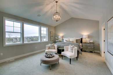 Inspiration for a transitional master carpeted bedroom remodel in Minneapolis