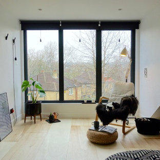 Photo of a mid-sized scandinavian guest bedroom in Other with white walls, plywood floors and no fireplace.