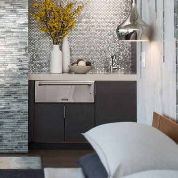 The New American Home 2016