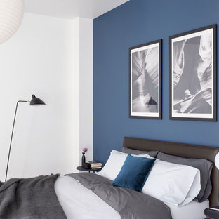 75 Beautiful Contemporary Blue Bedroom Pictures Ideas March 2021 Houzz