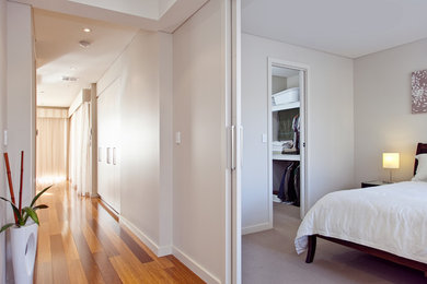 アデレードにある中くらいなモダンスタイルのおしゃれな主寝室 (白い壁、カーペット敷き、茶色い床)