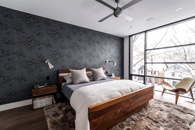 Diseño de dormitorio principal contemporáneo de tamaño medio sin chimenea con paredes negras y suelo de madera oscura