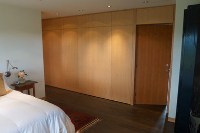 Bedroom - modern bedroom idea in San Francisco