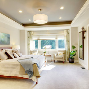 Inspiration for a timeless carpeted bedroom remodel in Tampa with gray walls and no fireplace