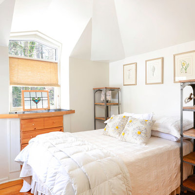 Bedroom - traditional medium tone wood floor bedroom idea in Other with white walls