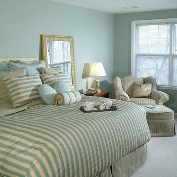 Traditional Teal Cozy Bedroom