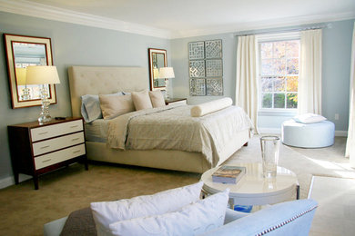 Example of a large transitional master carpeted bedroom design in New York with gray walls, a standard fireplace and a stone fireplace