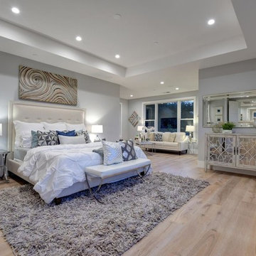 Transitional Bedroom