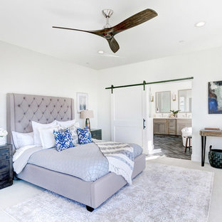 Inspiration for a transitional master carpeted and gray floor bedroom remodel in San Diego with white walls