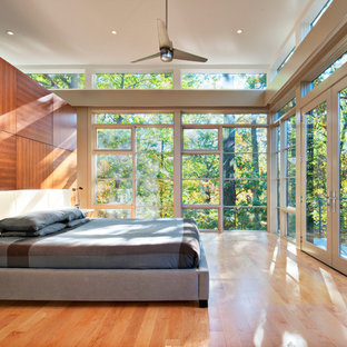 Tree House Bedroom
