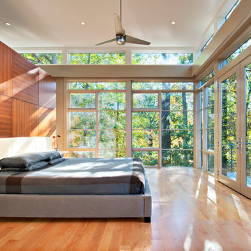 Tree House Bedroom