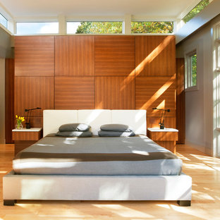 Bedroom - contemporary light wood floor bedroom idea in DC Metro with gray walls